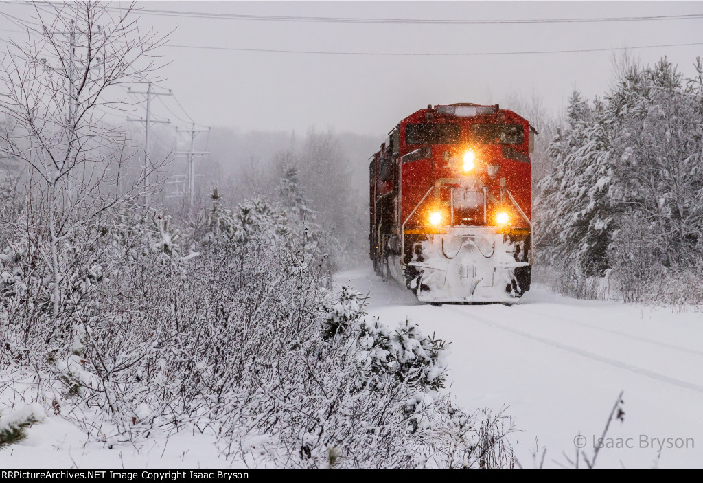 CN 8826